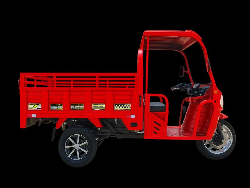 SFM Sfm Express-Max- 2026 Model Motosiklet - Görsel 2